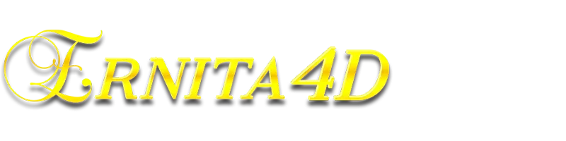 Logo ERNITA4D